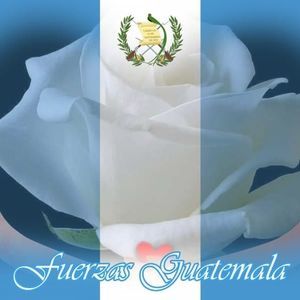 Meet your Posher, Esperanza